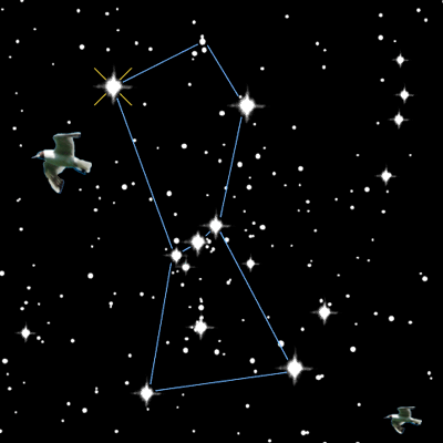 La constellation d'Orion